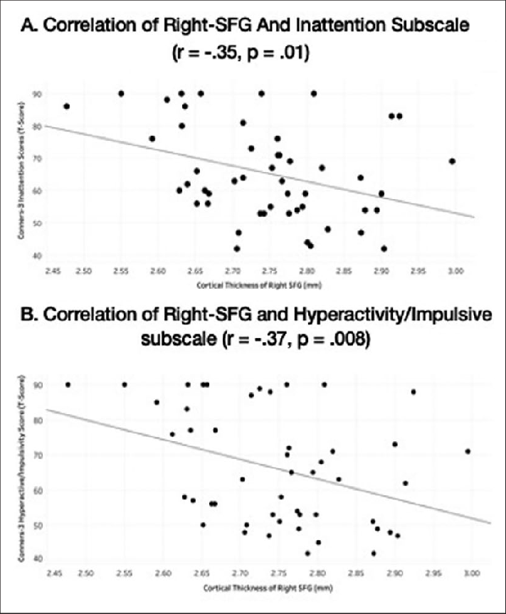 Right Superior Frontal Gyrus Cortical